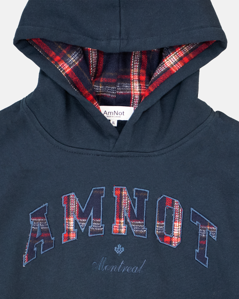AmNot organic cotton hoodie - Plaid