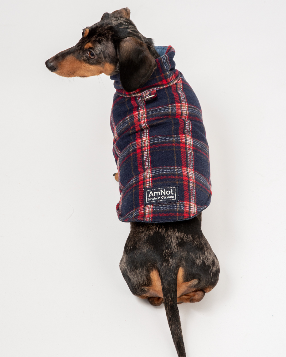 Dog puffer jacket - Plaid