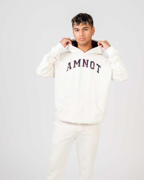 AmNot organic cotton hoodie - Plaid